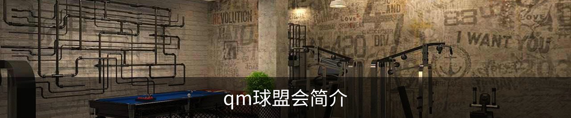 qm球盟会简介